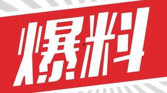 獨家爆料,震驚內(nèi)幕，揭秘事件背后真相！