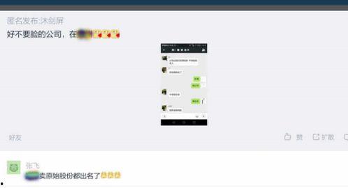 獨家爆料是什么意思,揭開神秘事件的背后真相