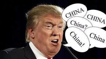 吃瓜蒙主間諜身份解析,間諜身份背后的真相與謎團(tuán)